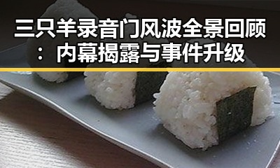 三只羊录音门风波全景回顾：内幕揭露与事件升级