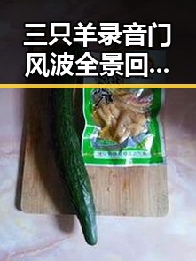 三只羊录音门风波全景回顾：内幕揭露与事件升级